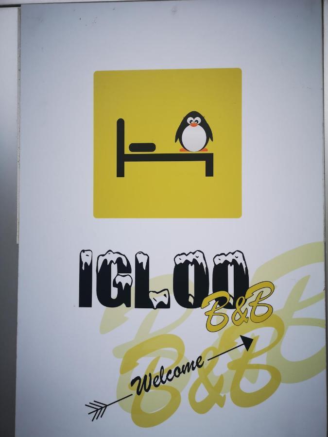 L'Igloo B&B Sedico Екстер'єр фото